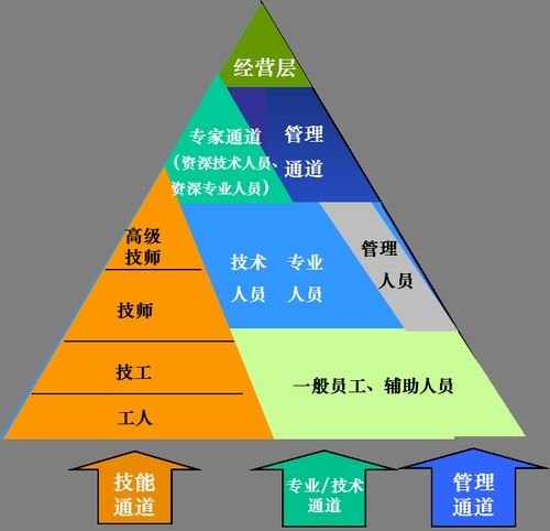 员工的职业生涯发展规划